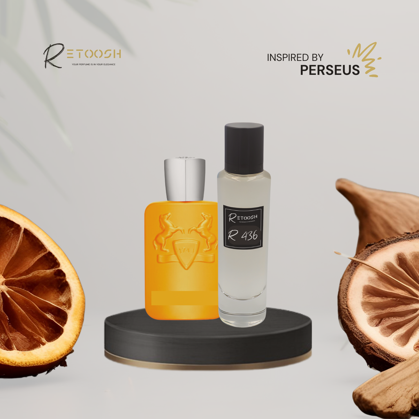 R436 | Woody Elegance Fragrance for Men | 50mL - Retoosh Perfumes